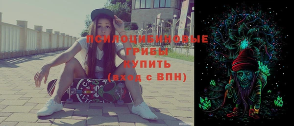PSILOCYBIN Надым