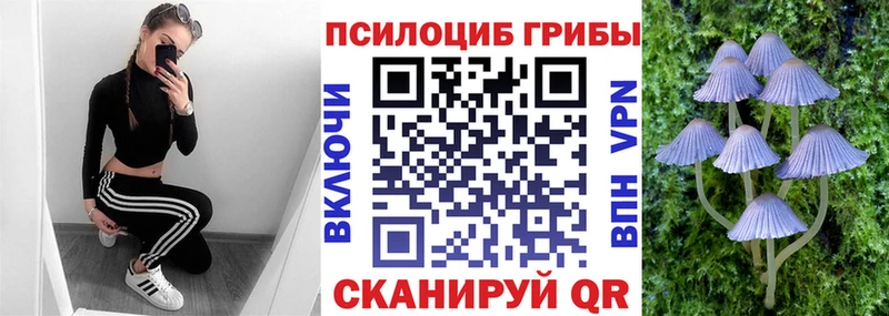 Галлюциногенные грибы GOLDEN TEACHER  Дно 