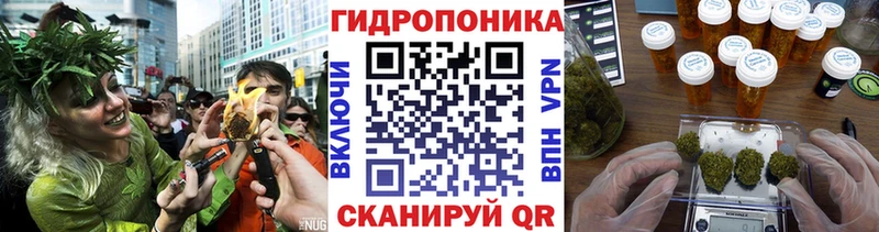 Конопля ГИДРОПОН Дно